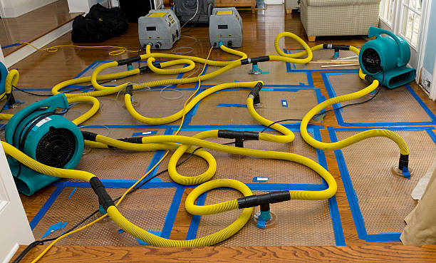 Professional Sewage Cleanup technician working in Forestville, PA